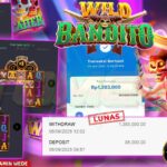 menang besar di wild bandito pg soft